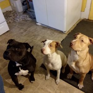 Meet your Posher, Michele